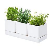 D'vine Dev Set di 1 vaso per piante da giardino, in plastica, con drenaggio | Elegante stile minimalista, soluzione da giardino per erbe aromatiche, foro di drenaggio, sottovaso, struttura durevole per