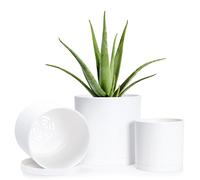 D'vine Dev Set di 3 piccoli vasi cilindrici minimalisti in plastica con foro di drenaggio e piattini senza cuciture, 10,2 cm, 12,7 cm, 15,2 cm, colore bianco