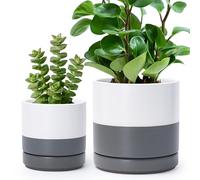 D'vine Dev Vasi in ceramica per piante con foro di drenaggio e sottovaso, set di piccoli vasi per piante, bianco/grigio maculato, 94-G-S-6