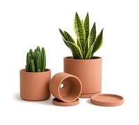 D'vine Dev Vasi in terracotta per piante, 10,7 cm, 14,5 cm, 14,5 cm, vaso per piante grasse con drenaggio e piattino, 40-A-T-1