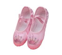 DVMSIEF Scarpette Danza Classica Bambina Scarpa da Ballo for Bambini Suola Morbida Pratica Ricamo in Raso Balletto Corpo Yoga Ragazza Scarpe Ginnastica Indoor(Elizabeth Pink,28)