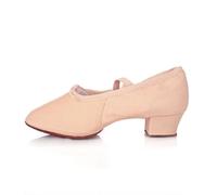 DVMSIEF Scarpette Danza Classica Bambina Scarpe da Ballo Donna Danza Classica for Ragazze Suola Morbida Tacchi Bassi Pantofole for Bambini Ginnastica Latine for Rosa Nere Rosse(Pink,2.5)