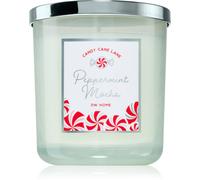 DW Home Candy Cane Lane Peppermint Mocha candela profumata 264 g