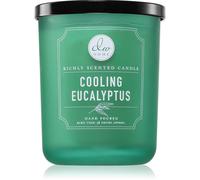 DW Home Signature Cooling Eucalyptus candela profumata 425 g