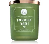 DW Home Signature Evergreen Forest 445 g - Candela Profumata
