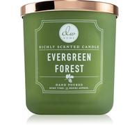 DW Home Signature Evergreen Forest candela profumata 269 g