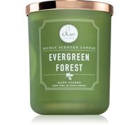 DW Home Signature Evergreen Forest candela profumata 445 g
