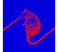 Dwarfs Of East Agouza - Rats Don'T Eat Synthesizers