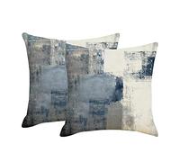 DWDC Fodere per Cuscini 60x60cm Confezione da 2 Federe per Cuscini Arte Astratta, Galleria Contemporanea Blu e Grigia Copricuscini Decorativi per la Casa per Camera da Letto Divano Soggiorno