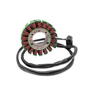 DWOGCEBX Magneto Statore a bassa potenza Codice 21040109701 21040109703 21170103101 Compatibile con il generatore ATV ODES 650 800 1000