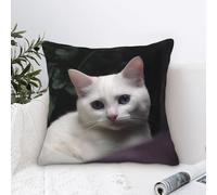 Dwrepo Federa decorativa per cuscino in velluto super morbido con stampa di gatto bianco, federa quadrata per cuscino per divano, camera da letto, soggiorno, 45,7 x 45,7 cm