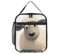 DWTJKMS Borsa termica per il pranzo, a prova di perdite, per uomini e donne, con manico, riutilizzabile, isolata, per ufficio, lavoro, picnic