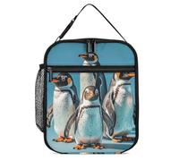 DWTJKMS Borsa termica per il pranzo, a prova di perdite, per uomini e donne, con manico, riutilizzabile, isolata, per ufficio, lavoro, picnic