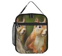 DWTJKMS Borsa termica per il pranzo, a prova di perdite, per uomini e donne, con manico, riutilizzabile, isolata, per ufficio, lavoro, picnic