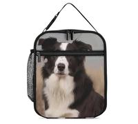 DWTJKMS Borsa termica per il pranzo Border Collie, a prova di perdite, per uomini e donne, con manico, riutilizzabile, isolata, per ufficio, lavoro, picnic
