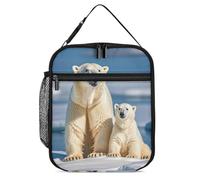 DWTJKMS Borsa termica per il pranzo, con 2 orsi polari, a prova di perdite, per uomini e donne, con manico, riutilizzabile, per ufficio, lavoro, picnic