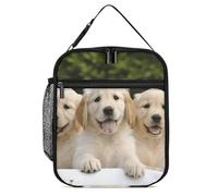 DWTJKMS Borsa termica per il pranzo con cuccioli di Golden Retriever, a prova di perdite, per uomini e donne, con manico, riutilizzabile, isolata, per ufficio, lavoro, picnic