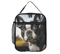 DWTJKMS Borsa termica per il pranzo con cucciolo di cane Boston Terrier, a prova di perdite, per uomini e donne, con manico, riutilizzabile, isolata, per ufficio, lavoro, picnic