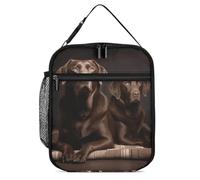 DWTJKMS Borsa termica per il pranzo con Labrador Retriever marrone, a prova di perdite, per uomini e donne, con manico, riutilizzabile, isolata, per ufficio, lavoro, picnic