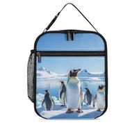DWTJKMS Borsa termica per il pranzo con pinguino Antartide, a prova di perdite, per uomini e donne, con manico, riutilizzabile, isolata, per ufficio, lavoro, picnic