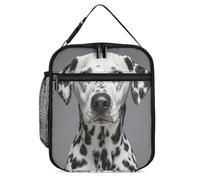 DWTJKMS Borsa termica per il pranzo dalmata, a prova di perdite, per uomini e donne, con manico, riutilizzabile, isolata, per ufficio, lavoro, picnic