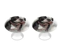 DWTJKMS Boston Terrier Maniglie colorate per armadietti, maniglie per cassetti, adatte per comò, mobili da cucina, porte, armadi e cassetti
