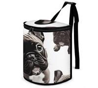 DWTJKMS Bulldog francese Pattumiera per auto con coperchio Grande capacità Appeso Pattumiera automatica a prova di perdite Impermeabile Cestino della spazzatura Auto Must Haves Accessori per interni