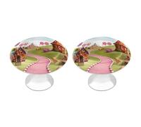DWTJKMS Candy Land Maniglie per armadietti colorati Pomelli per cassetti solidi maniglie adatte per comò mobili da cucina porte armadio cassetti