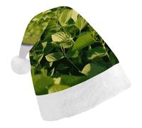 DWTJKMS Cappello di Babbo Natale con campo di soia, cappello classico di Natale, spesso cappello per feste di Natale, cappello divertente per le vacanze, unisex per adulti