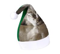 DWTJKMS Cappello di Babbo Natale gatto addormentato cappello di Natale classico cappello di Natale spesso cappello con paillettes divertente vacanza invernale