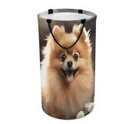 DWTJKMS Cesto portabiancheria a forma di cane Pomerania, pieghevole, con manici per il trasporto, grande cesto portaoggetti per lavanderia, dormitorio, famiglia