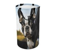 DWTJKMS Cesto portabiancheria Boston Terrier per cuccioli, pieghevole, con manici per il trasporto, grande cesto portaoggetti per lavanderia, dormitorio, famiglia