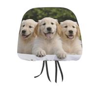 DWTJKMS Coprisedili per auto, motivo cuccioli di Golden Retriever, 2 pezzi, regolabili, riutilizzabili, accessori per sedili interni auto, carini vintage, protezione per poggiatesta, per la maggior