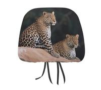 DWTJKMS Coprisedili per auto, motivo leopardo africano su roccia, 2 pezzi, regolabili, riutilizzabili, accessori per interni auto, graziosi e vintage, protezione per poggiatesta, per la maggior parte
