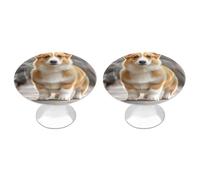 DWTJKMS Corgi, maniglie per armadietti con cani, pomelli colorati per cassetti, adatti per cassettiere, mobili da cucina, porte, armadi e cassetti