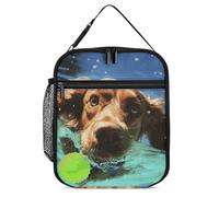 DWTJKMS Divertente borsa termica per il pranzo, a prova di perdite, per uomini e donne, con manico, riutilizzabile, isolata, per ufficio, lavoro, picnic