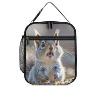 DWTJKMS Divertente borsa termica per il pranzo, a prova di perdite, per uomini e donne, con manico, riutilizzabile, isolata, per ufficio, lavoro, picnic