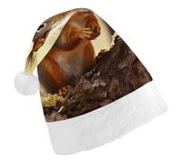 DWTJKMS Divertente cappello di Babbo Natale scoiattolo classico cappello di Natale spesso cappello per feste di Natale divertente cappello per le vacanze per adulti unisex