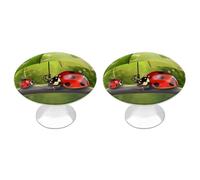 DWTJKMS Divertente coccinella che tiene ombrelli maniglie per armadietti pomelli colorati per armadietti maniglie per cassetti solide adatte per comò mobili da cucina porte armadio cassetti