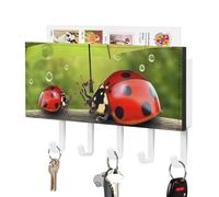 DWTJKMS Divertente coccinella che tiene ombrelli portachiavi per parete, stile fattoria, montaggio a parete con 5 ganci, nuova decorazione da parete appeso portachiavi per ingresso o atrio 18 cm di