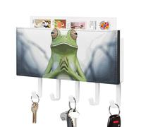 DWTJKMS Divertente portachiavi a forma di rana per yoga, montaggio a parete con 5 ganci, decorazione da appendere per ingresso o atrio, 18 cm di larghezza x 4,3 cm di altezza