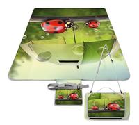 DWTJKMS Divertente tappetino da picnic con coccinella che tiene ombrelli, tappetino pieghevole impermeabile con borsa tote grande tappetino da picnic all'aperto 147,3 x 147,3 cm coperta da campeggio