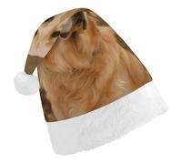 DWTJKMS Golden Retriever Cappello di Babbo Natale Classico Cappello di Natale Addensare Natale Party Hat Divertente Cappello per le Vacanze per Unisex Adulti
