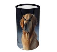 DWTJKMS Golden Retriever - Cesto portabiancheria pieghevole con manici per il trasporto, grande cesto portaoggetti per lavanderia, dormitorio, famiglia