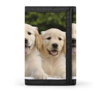 DWTJKMS Golden Retriever Puppies Portafoglio minimalista da uomo sottile a tre ante portafogli alla moda moderno portafoglio antifurto per carte e contanti