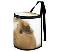 DWTJKMS Guinea Pig Car Trash Can con coperchio Grande capacità Appeso Auto Trash Bin a prova di perdite Impermeabile Pattumiera Auto Must Haves Accessori interni
