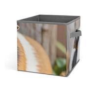DWTJKMS GuineaPig - Organizer a forma di cubo, pieghevole, in tessuto spesso, adatto per casa, ufficio, guardaroba, abbigliamento e giocattoli