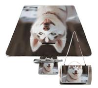 DWTJKMS Husky Tappetino da picnic con cane piccante, pieghevole, impermeabile, con borsa per la spesa, grande tappetino da picnic all'aperto, 147,3 x 147,3 cm, coperta da campeggio per spiaggia, parco
