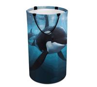 DWTJKMS Killer Whale - Cesto portabiancheria pieghevole con manici per il trasporto, grande cesto portaoggetti per lavanderia, dormitorio, famiglia