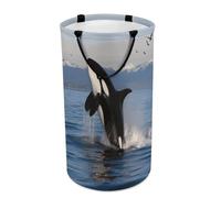 DWTJKMS Killer Whale - Cesto portabiancheria pieghevole con manici per il trasporto, grande cesto portaoggetti per lavanderia, dormitorio, famiglia